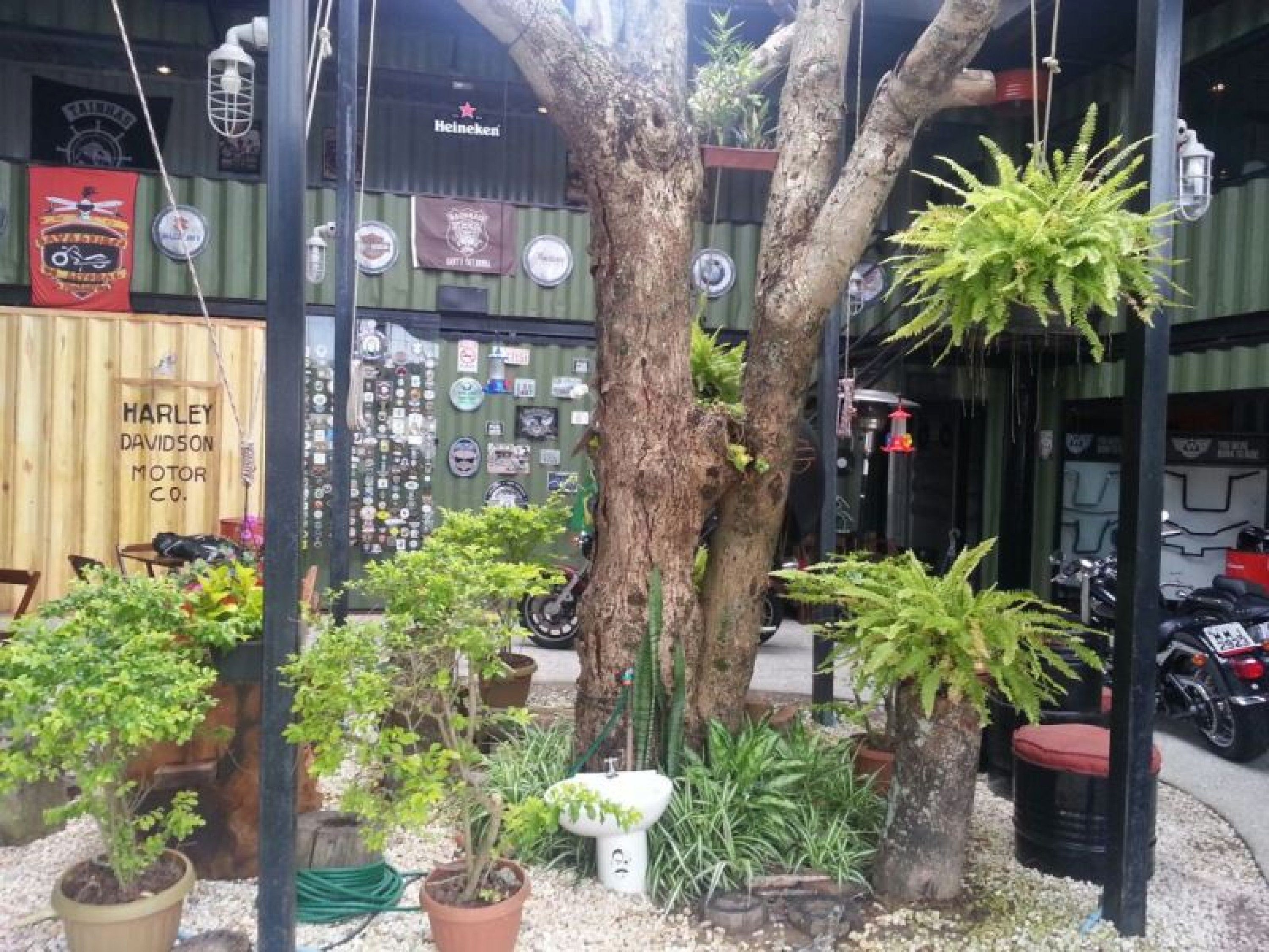 BALNEARIO CAMBORIU-SC - 11/2017